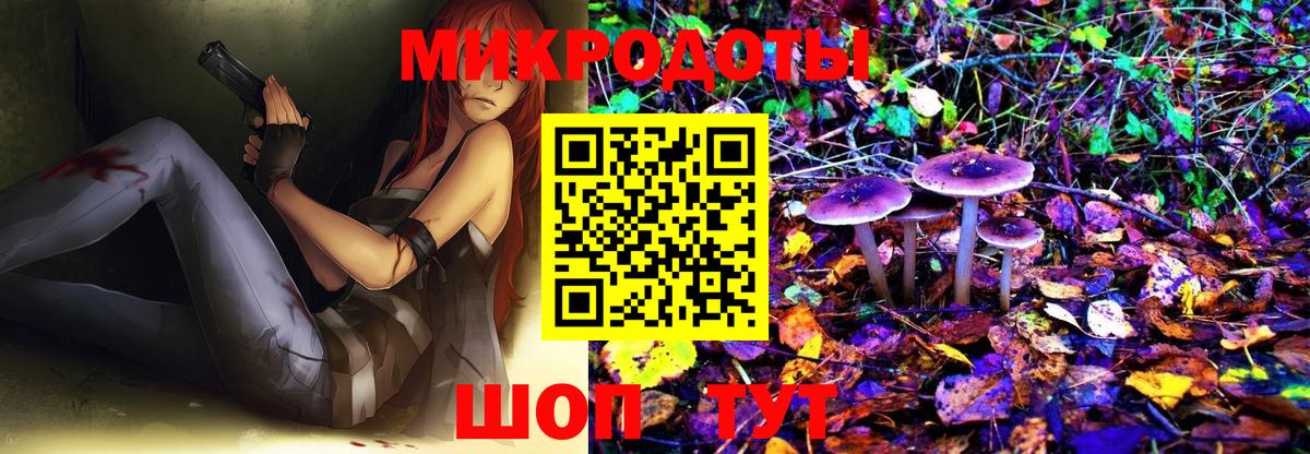 купить наркоту  Вход с VPN  Анапа  Галлюциногенные грибы Psilocybe 